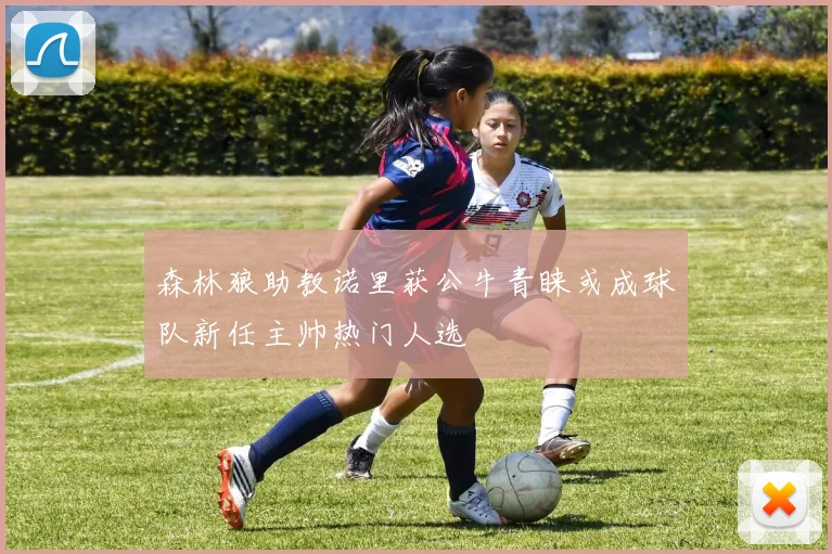 森林狼助教诺里获公牛青睐或成球队新任主帅热门人选
