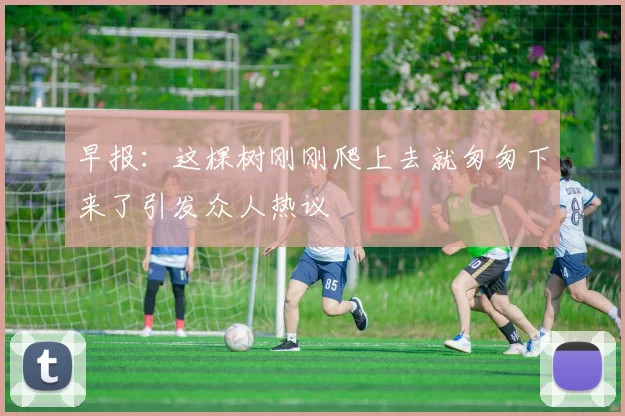 早报：这棵树刚刚爬上去就匆匆下来了引发众人热议